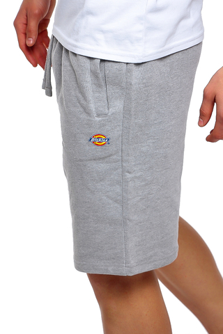 Dickies glen hot sale cove shorts