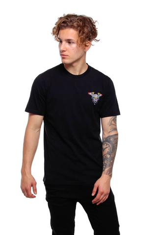 Koszulka Dickies Shandaken