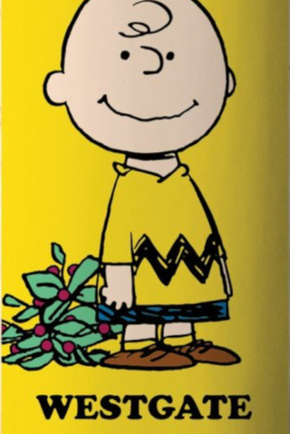 Blat Element X Peanuts Charlie Brown Westgate