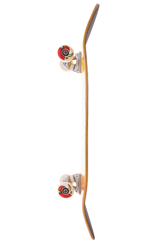 Deskorolka Toy Machine Turtle Stoner