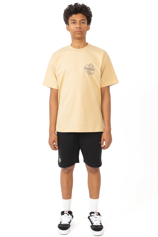 Carhartt WIP Ablaze T-shirt