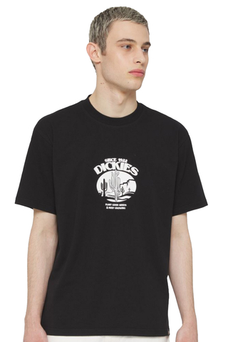 Koszulka Dickies Timberville