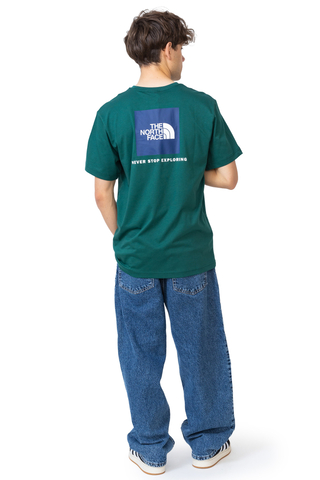 Koszulka The North Face NSE Box