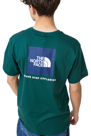 Koszulka The North Face NSE Box