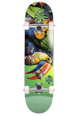 Deskorolka Push Toucan