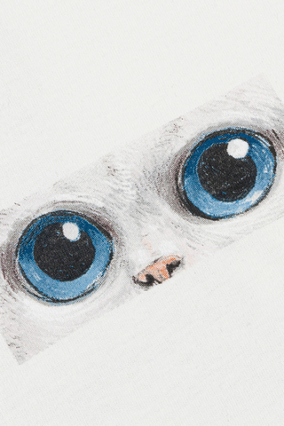 Koszulka Ripndip Find Out