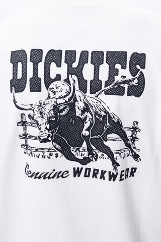 Koszulka Dickies Buchtell