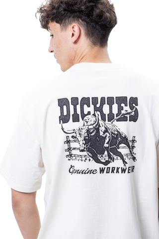 Koszulka Dickies Buchtell