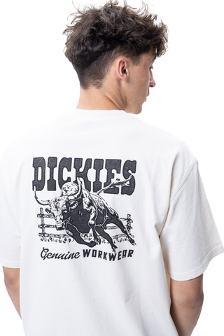 Koszulka Dickies Buchtell