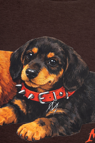 Bluza Z Kapturem Mercur Puppy