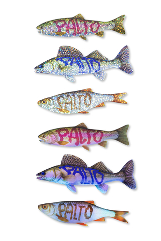 Naklejki Palto Fish