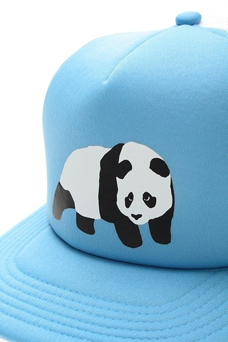 DUMB TRUCK CAP