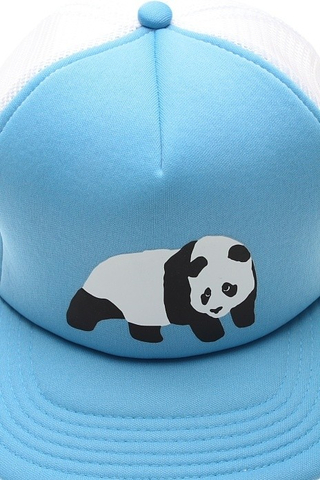 DUMB TRUCK CAP