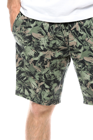 Szorty DC Shoes Attlee