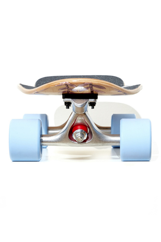 Deskorolka Cruiser Fish Skateboards Turtle