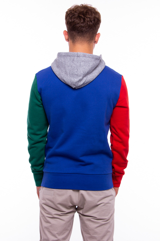 Champion contrast colour block best sale sleeve hoodie