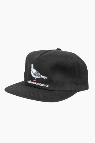 Czapka Anti Hero Lil Pigeon 