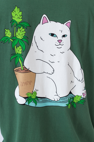 Koszulka Ripndip Flower Boy