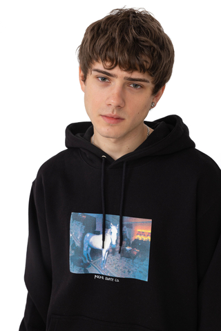 Polar Horse Dream Hoodie