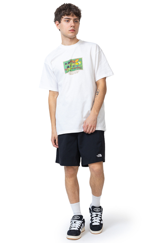Kraťasy The North Face Class V Pathfinder