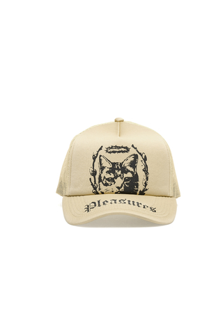 Czapka Pleasures Housecat