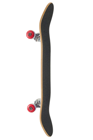 World Industries Power Of Evil Skateboard