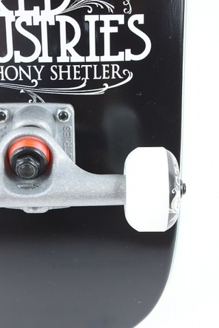 ANTHONY SHETLER - GORILLA