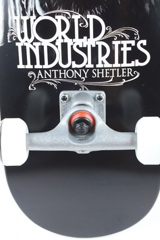 ANTHONY SHETLER - GORILLA