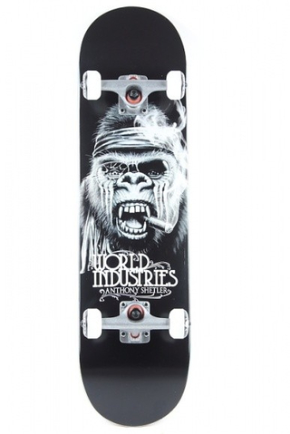 ANTHONY SHETLER - GORILLA
