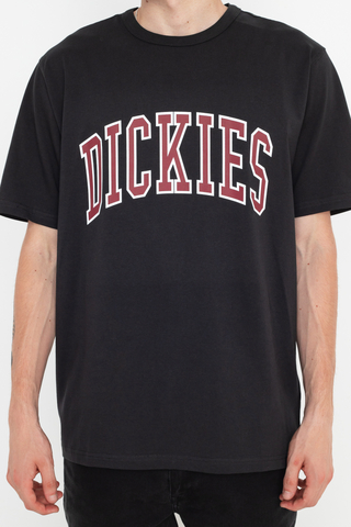 Dickies Aitkin T-shirt