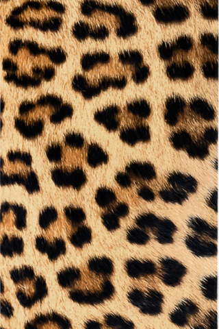 Blat Mini Logo Leopard