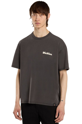 Tričko Dickies Slayden