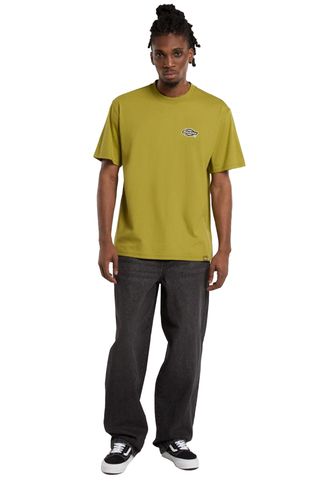 Kalhoty Dickies Madison