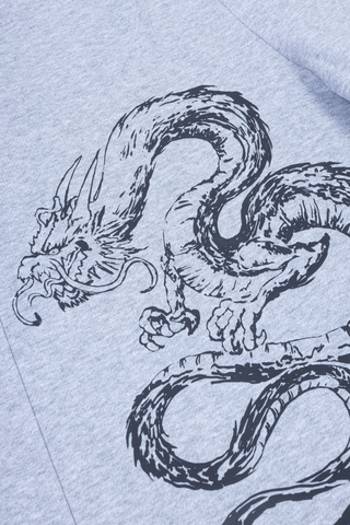 Kraťasy Mercur Dragon
