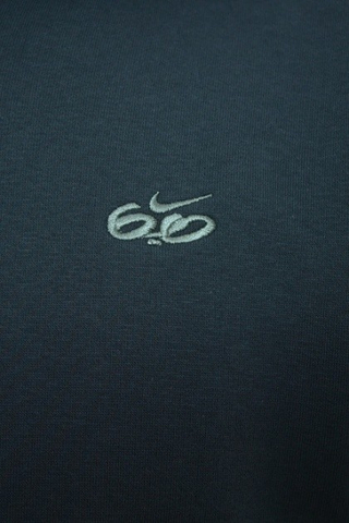 LOGO FZ HOODY