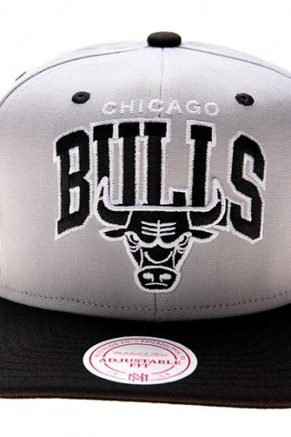 CHICAGO BULLS