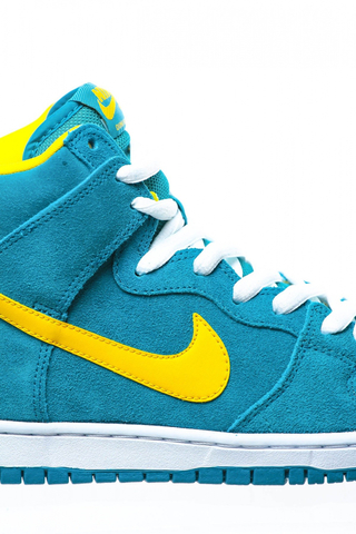 Buty Nike Dunk High Pro SB