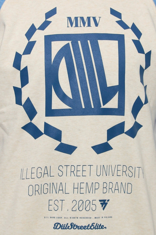 Bluza Diil Harvard New