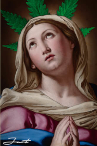 Blat Jart Renaissance II Santa Maria