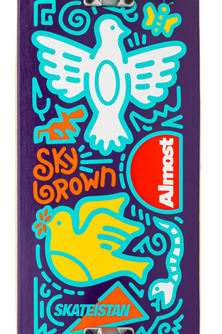 Deskorolka Almost Skateistan Doodle