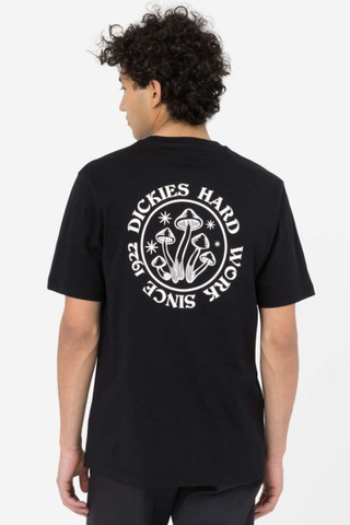 Dickies Gardens T-shirt