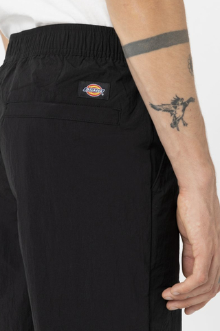 Spodnie Dickies Jackson Cargo