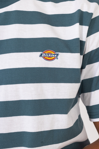 Dickies Rivergrove T-shirt