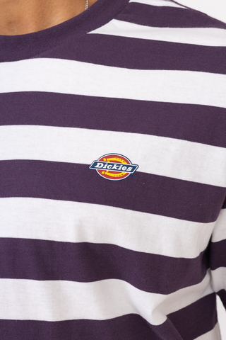 Dickies Rivergrove T-shirt