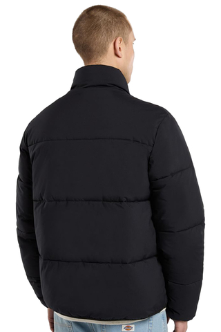 Kurtka Zimowa Dickies Summerdale