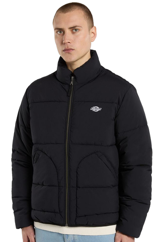 Kurtka Zimowa Dickies Summerdale