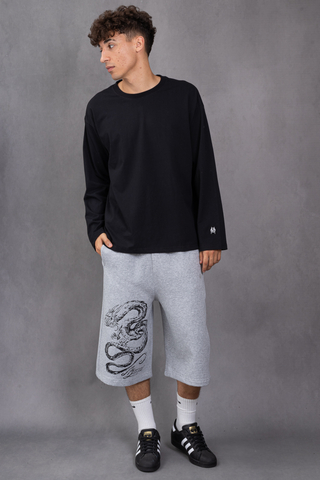 Longsleeve Mercur Basic
