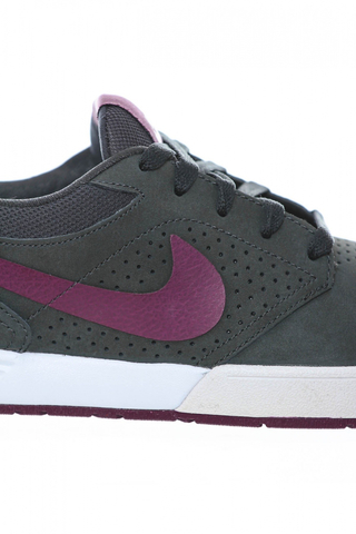 PAUL RODRIGUEZ 5
