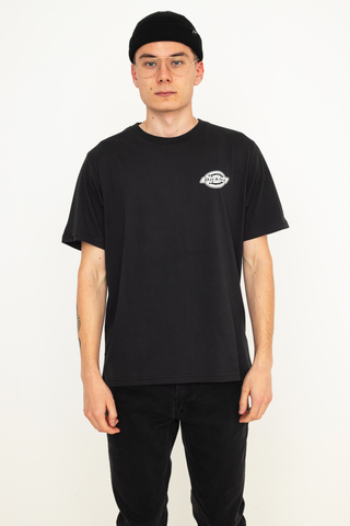 Koszulka Dickies Success