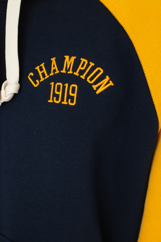 Champion on sale 1919 sweatshirt